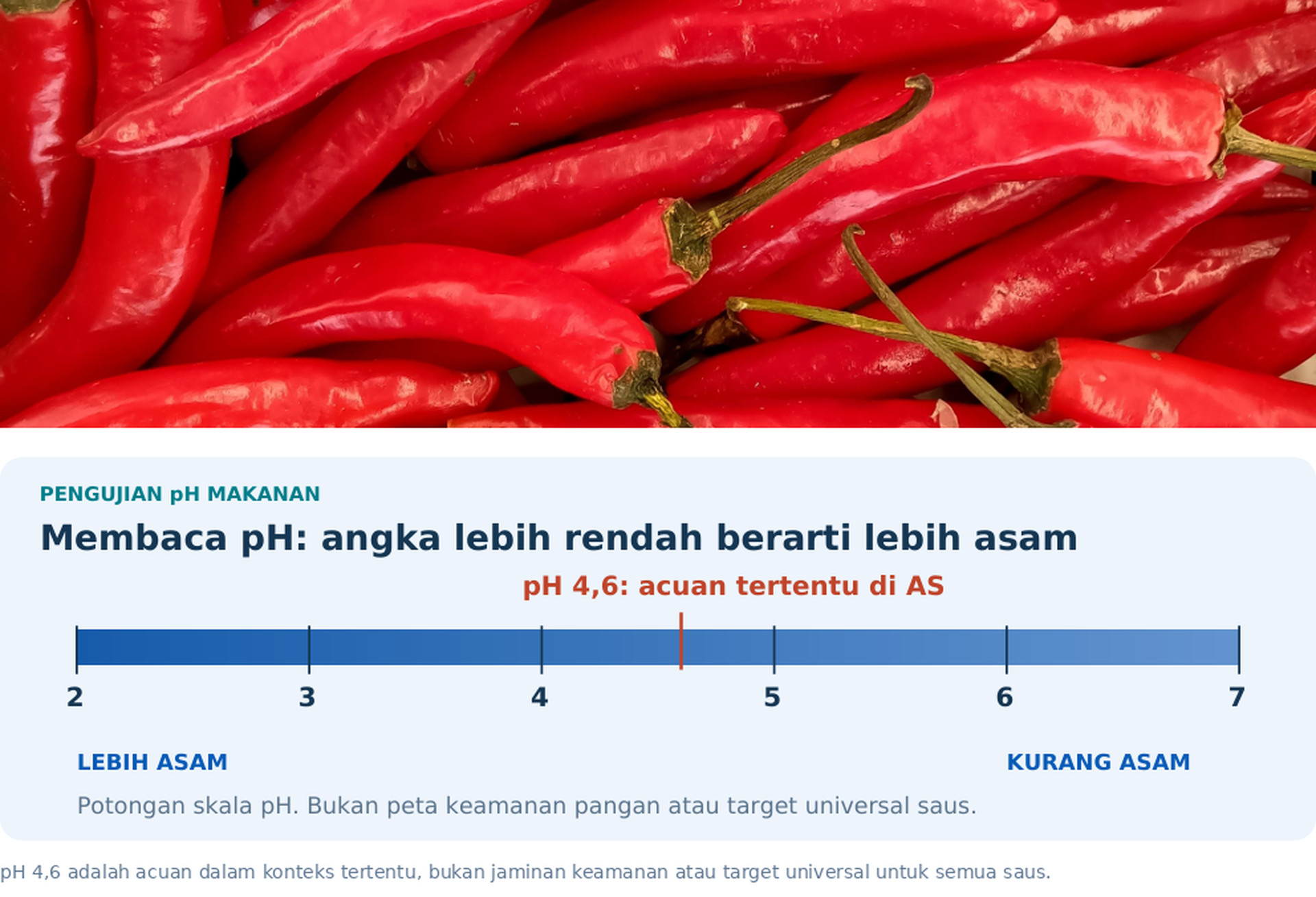 Article Pengujian pH Makanan (sambal)_Hanna 3
