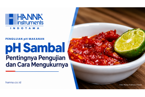 pH Sambal: Pentingnya Pengujian dan Cara Mengukurnya